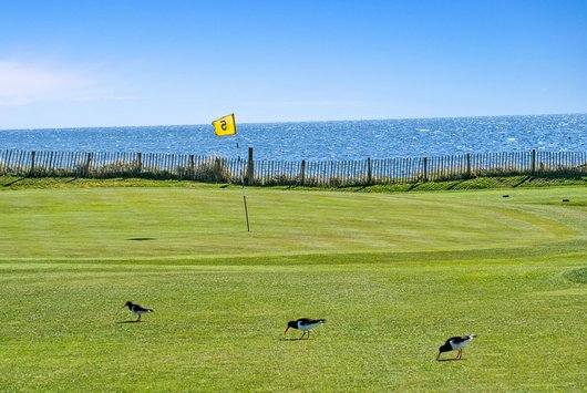 2021 Shiskine Golf Calendar, Blackwaterfoot, Isle of Arran