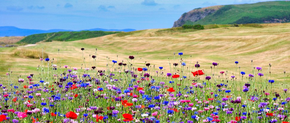 Shiskine Golf Course, Isle of Arran