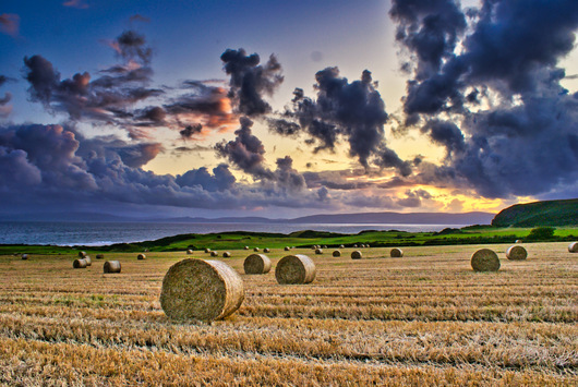2024 Shiskine Golf Calendar, Blackwaterfoot, Isle of Arran